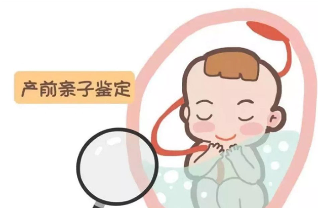 如何在怀孕初期做贵港亲子鉴定？去哪里做？